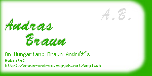 andras braun business card